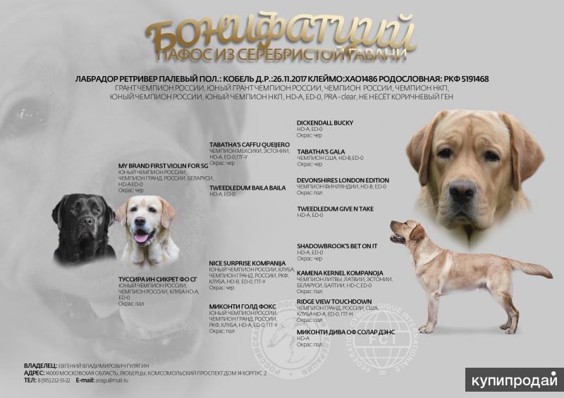 Характеристики породы