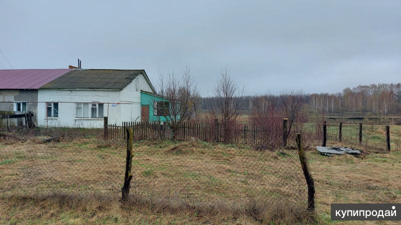 Недвижимость В Золотаревке Пензенской Области Купить