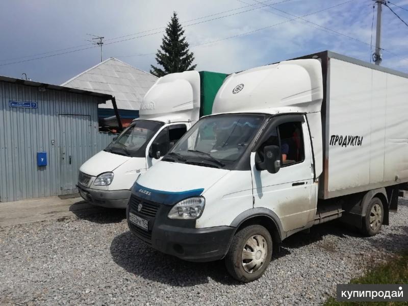 Грузоперевозки в Бердске. Фото газели Бердск .. Будка тент бычок фото.