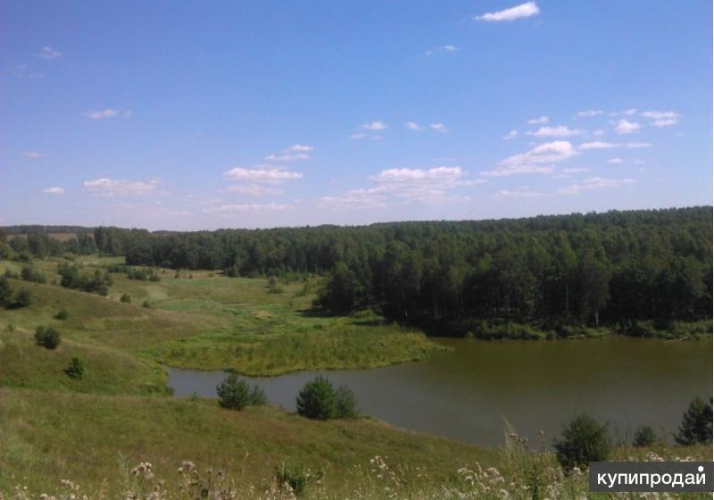 Купить Участок В Богородске Нижегородской