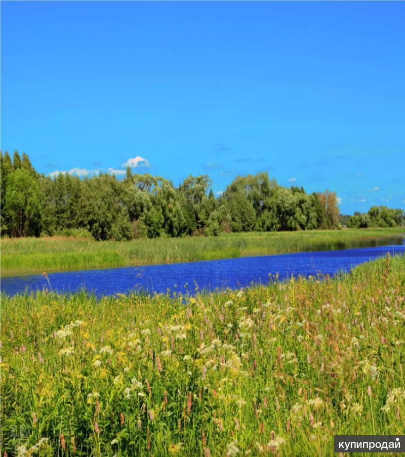 Столовая хутор белый темрюкский район. Бел зем. Деревня кабаково. Участок ижс. Деревня харнавы чайковский район.