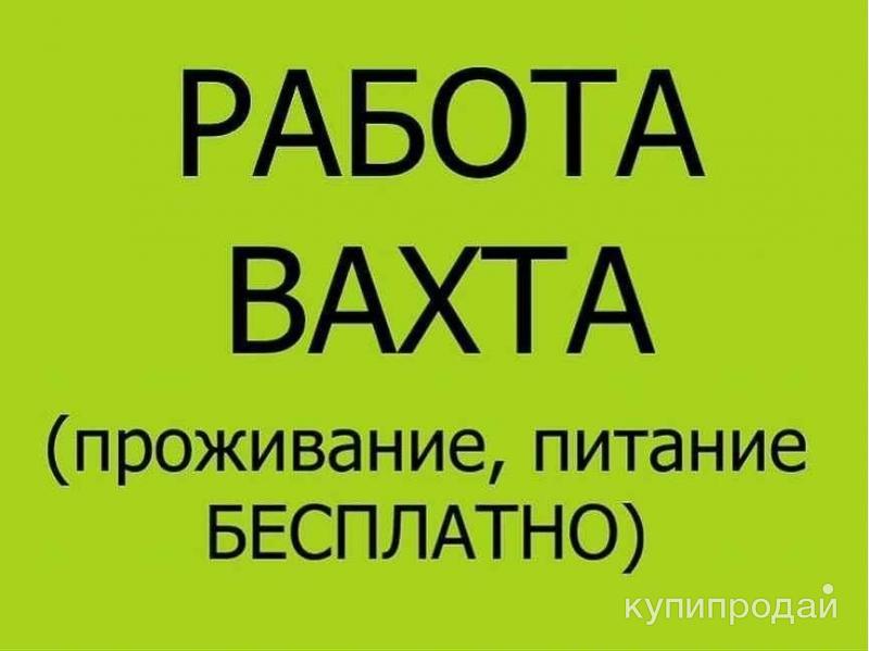 Авито вакансии свежие ростов