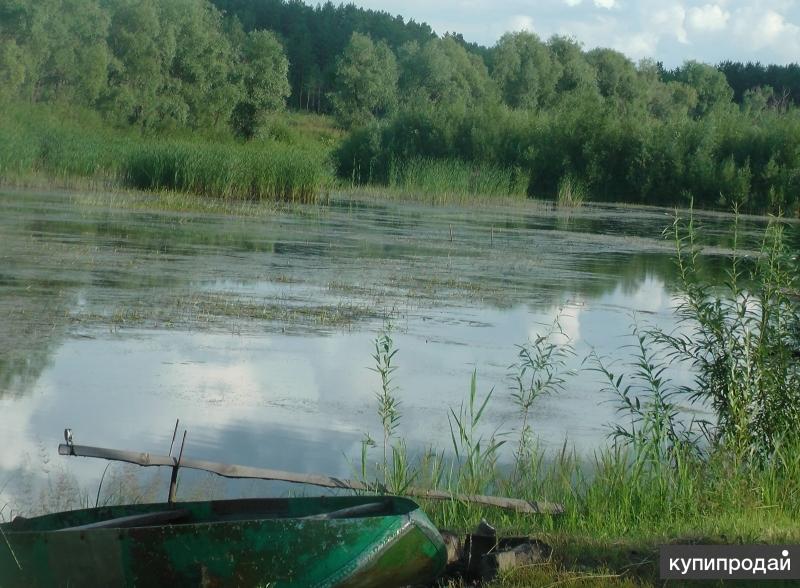 Купить Участок У Воды В Новосибирске