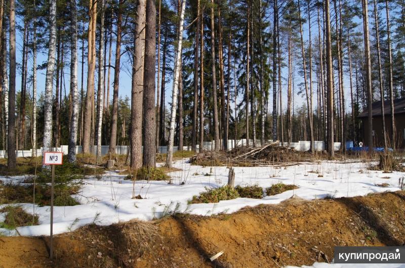 Купить Участок В Спб Дешево