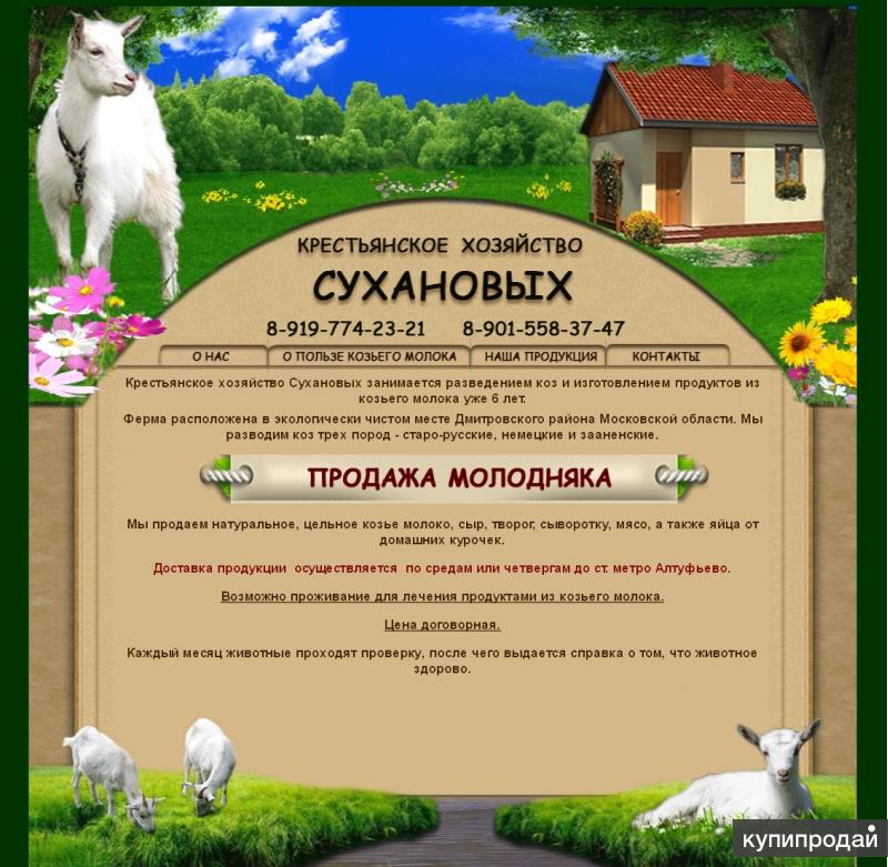Сайт под ключ с индивидуальным дизайном