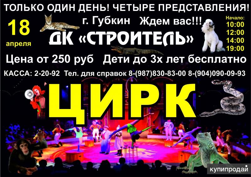 Билеты в Цирк в ДК «Строитель» 18 апреля