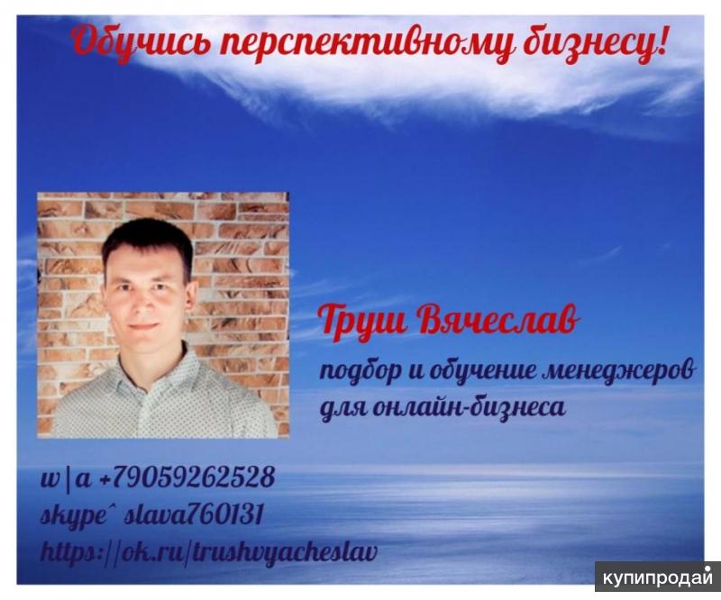 Менеджер в интернет-проект