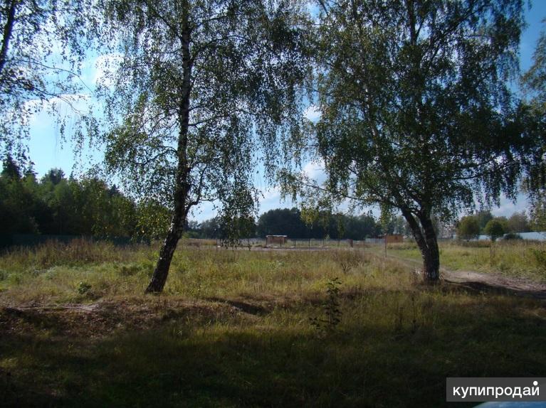 Купить Участок В Лесу В Красногорском Районе