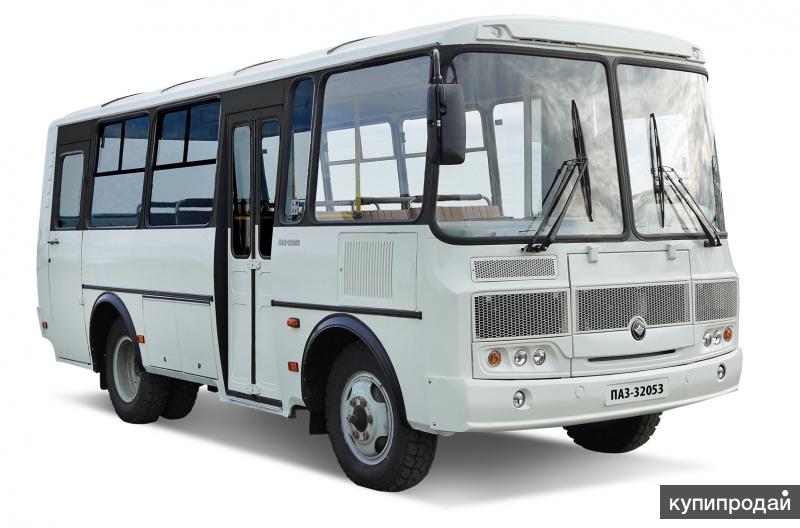 Автобусы ПАЗ