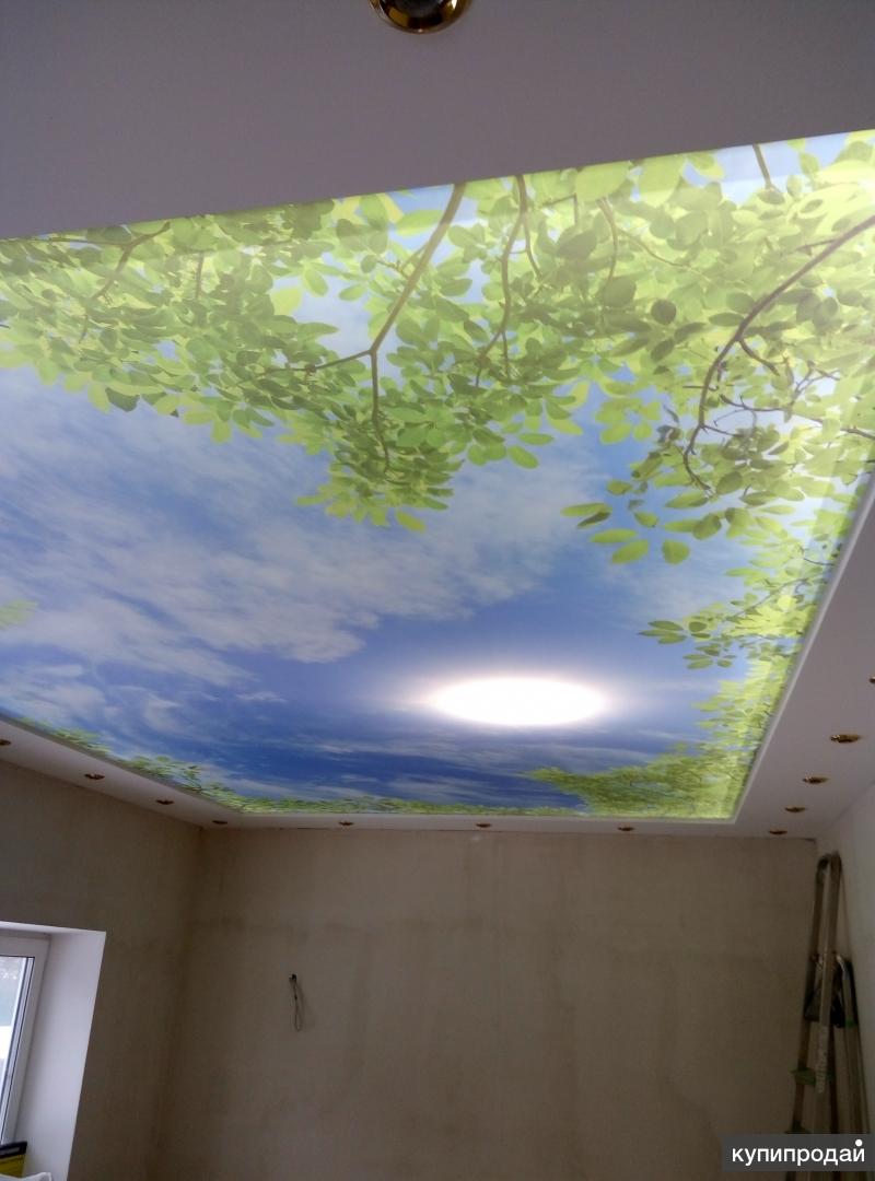 глянцевые потолки. обычный потолок. натяжные потолки для зала. натяжные потолки в интерьере. глянцевый натяжной потолок.