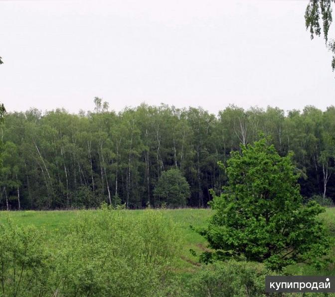 Купить Участок Калужское Шоссе Новая Москва