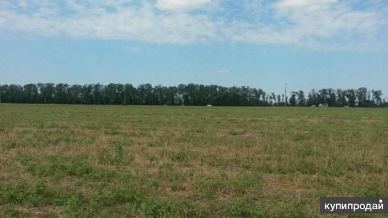 выгодное предложение к продаже