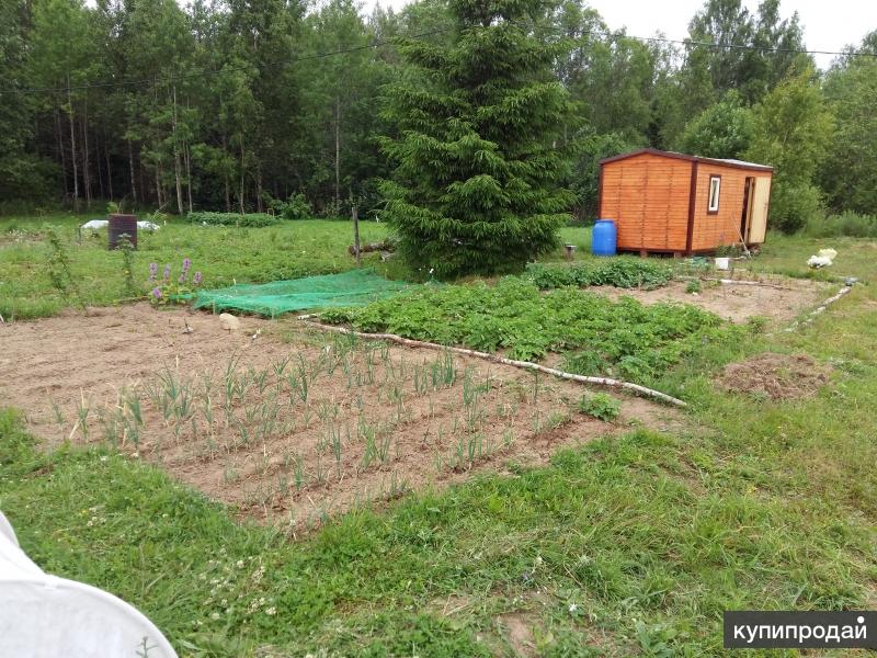 Лпх и ижс. Участок ЛПХ. Полевые участки ЛПХ это. Лесопарковые хозяйства в Ленинградской области. Земля ЛПХ.