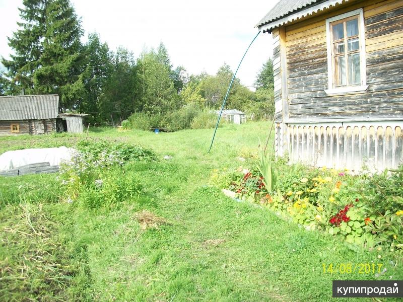 Купить Дом В Псковской Области Бежаницкий Район