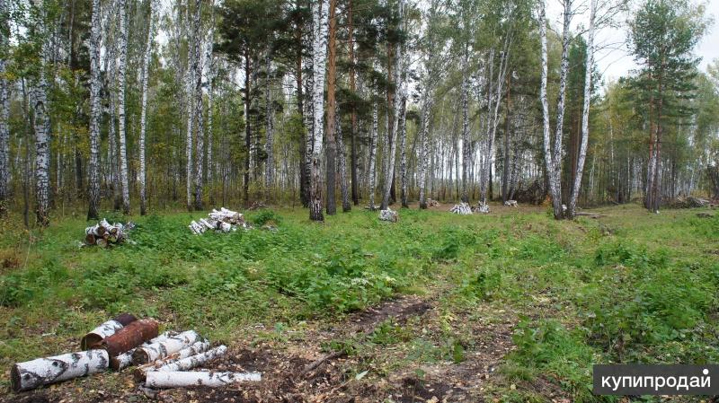 Продам участки в ДНТ "Царская усадьба" (пос. Ломовские дачи), Новосибирск