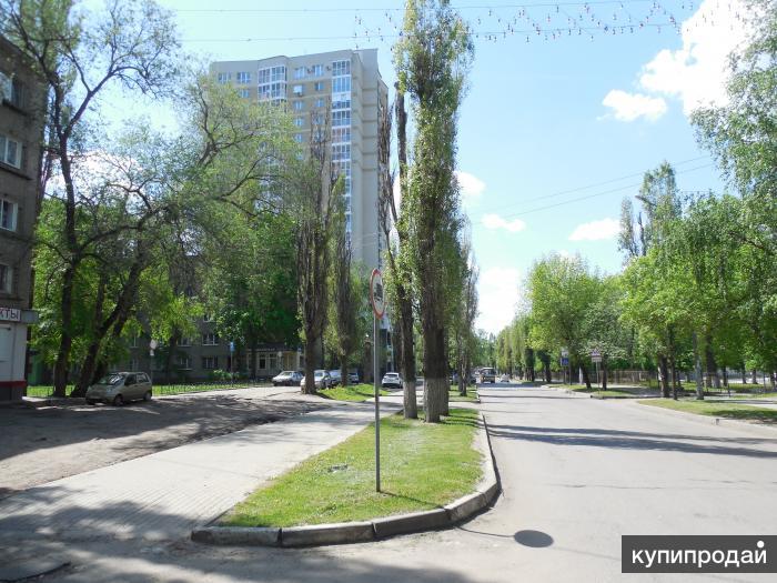 Эльфея бул пионеров 17б воронеж фото