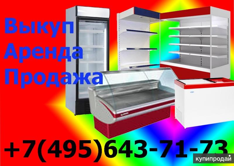 Витрины Кифато Для Магазина Купить Б У