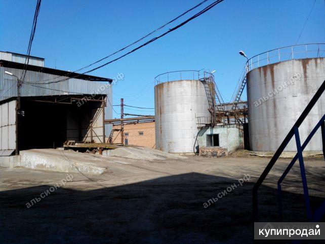 Продам маслозавод в Краснодарском крае