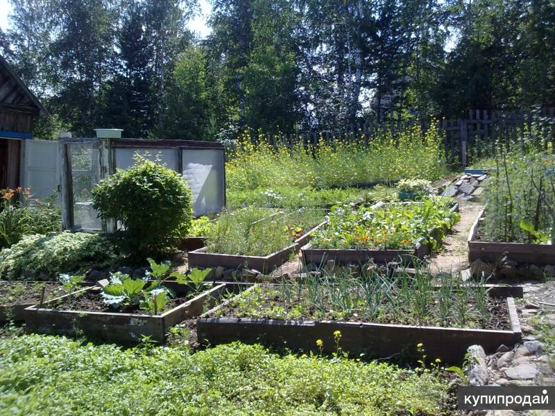 Купить Дачу Иркутск В Снт Новый