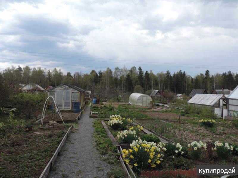 Купить Участок В Коллективном Саду Первоуральск