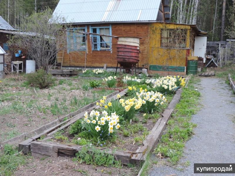 Купить Участок В Коллективном Саду Первоуральск