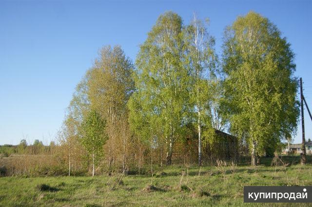 Купить Сено В Арзамасе И Арзамасском Районе