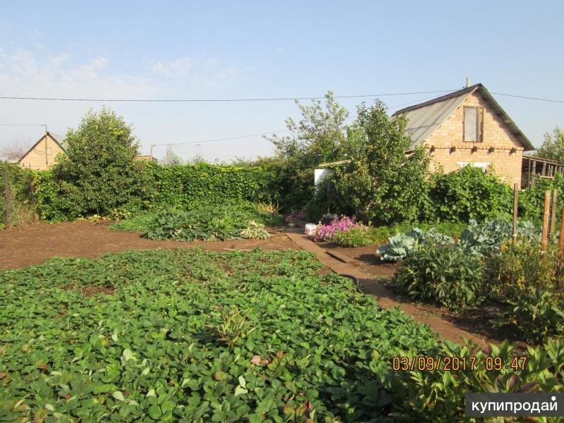 Купить Дачу В Оренбурге Колхоз Ленина