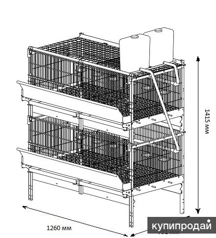 Клетка для бройлеров размеры на 20 голов и чертежи