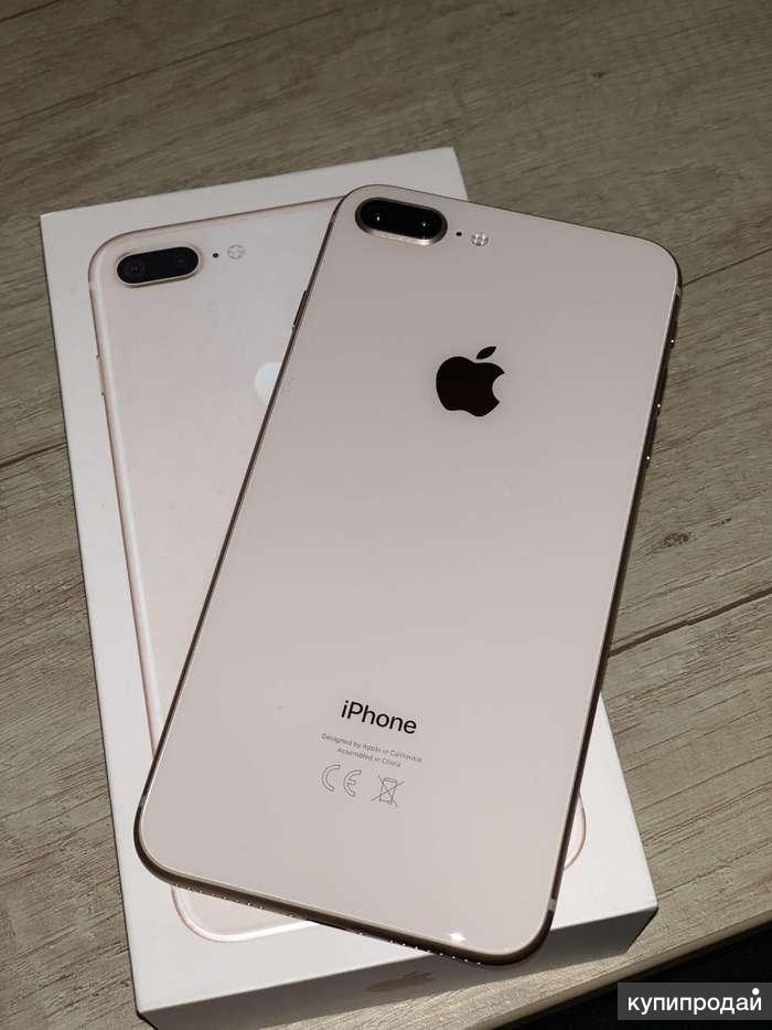 Айфон 8 стоит покупать. Iphone 8 Plus 256gb. Айфон 8 плюс 64 ГБ. Iphone 8 Plus 64gb. Iphone 8 Plus 256 GB Gold.