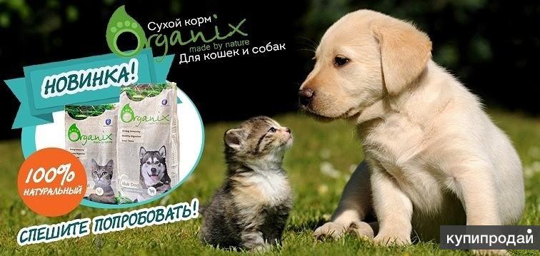 Корм собаке скидка. Реклама корма для собак. Корма для кошек и собак. Реклама корма для кошек и собак. Баннер корма для животных.