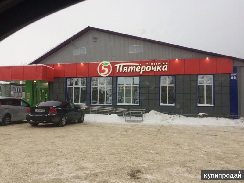 Продажи Магазина Сургуте