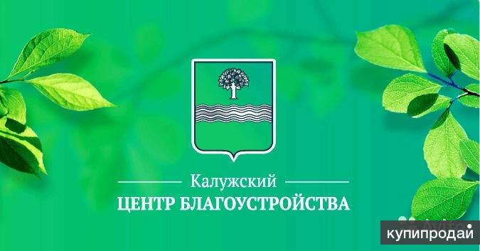 Помощник промышленного альпиниста