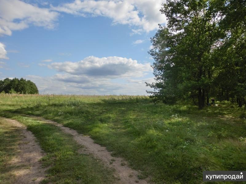 Купить Участок В Данкове Липецкой Области