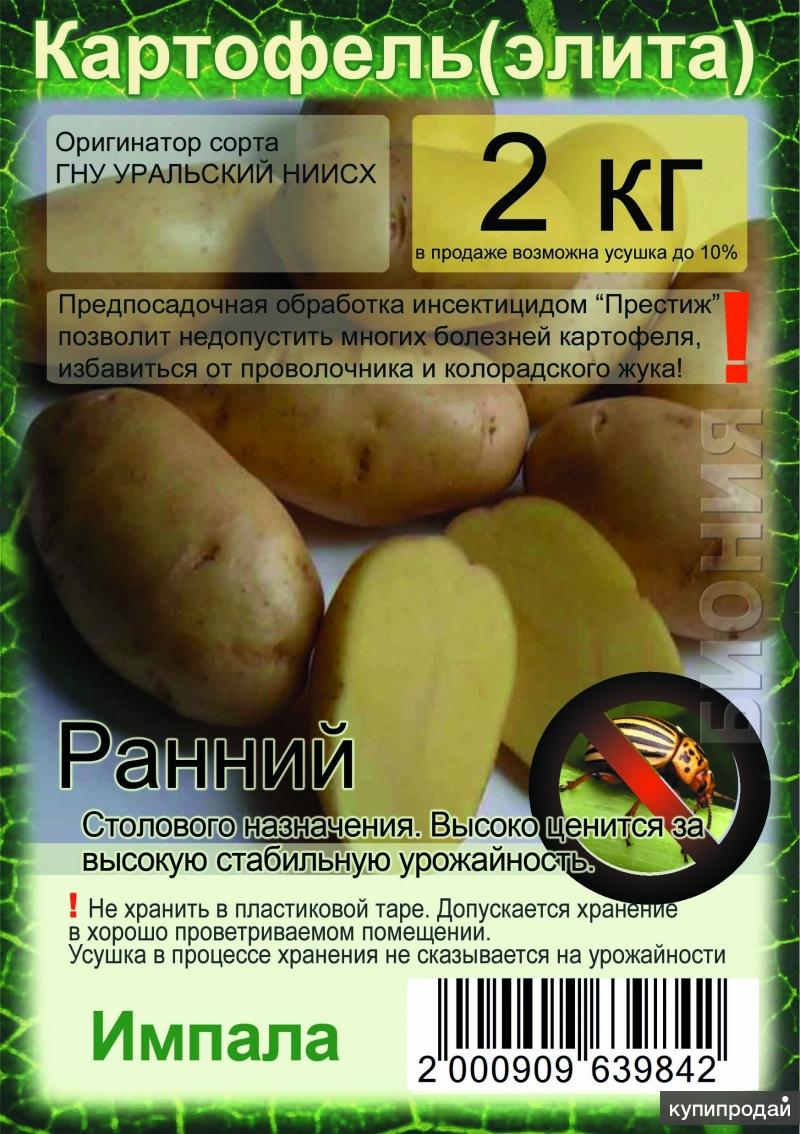 Магазин Биония В Пензе Каталог Товаров Саженцев