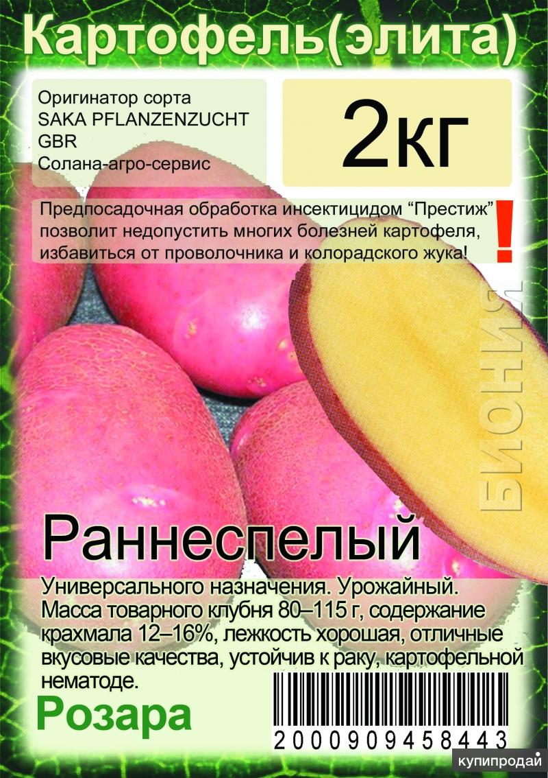 Магазин Биония В Пензе Каталог Товаров Саженцев