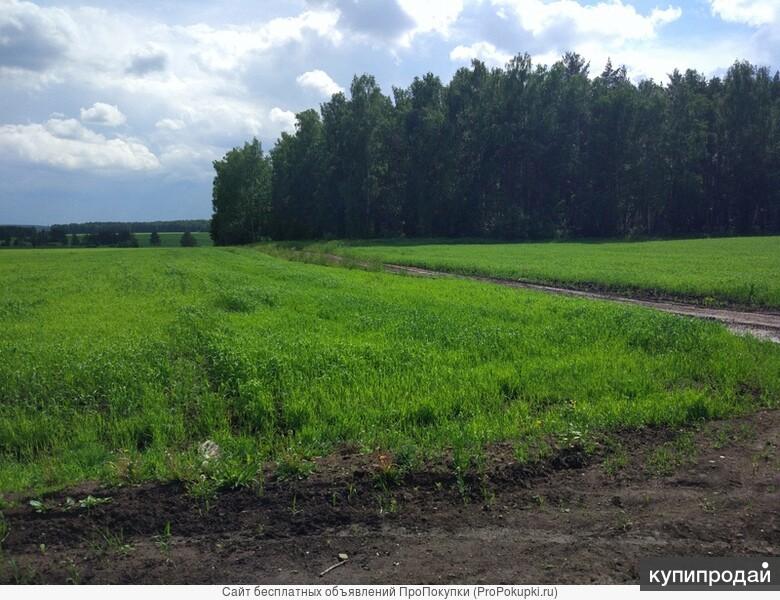 Земля Сельхозназначения Купить В Ленинградской