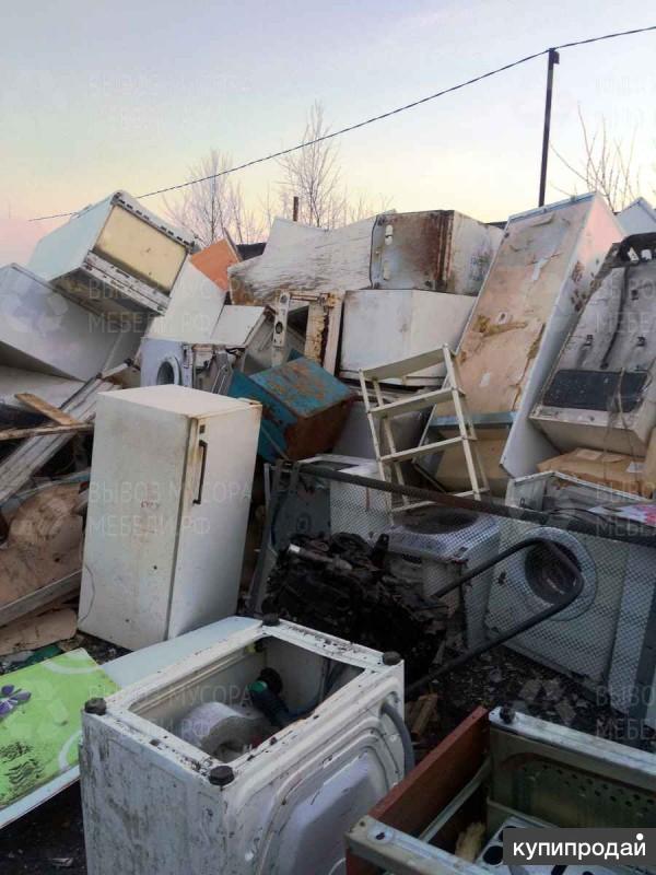 Сдать старую технику в магазине можно