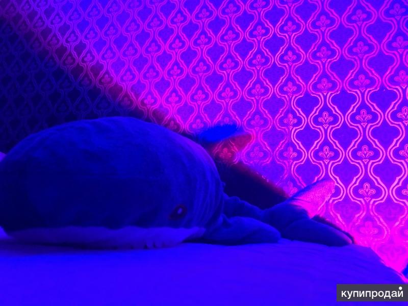 Акула из IKEA (икеа) Blohaj (блохэй) 100см в Москве