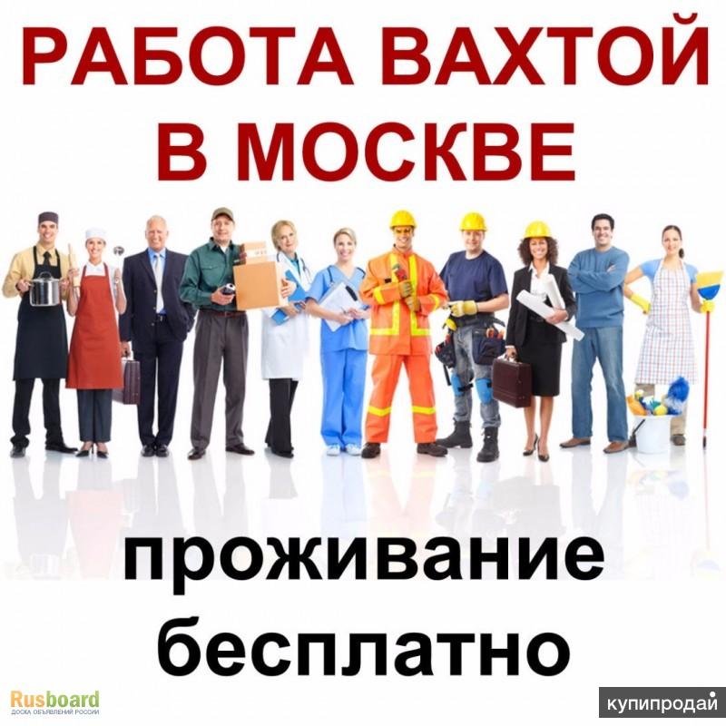 Требуются на новый проект