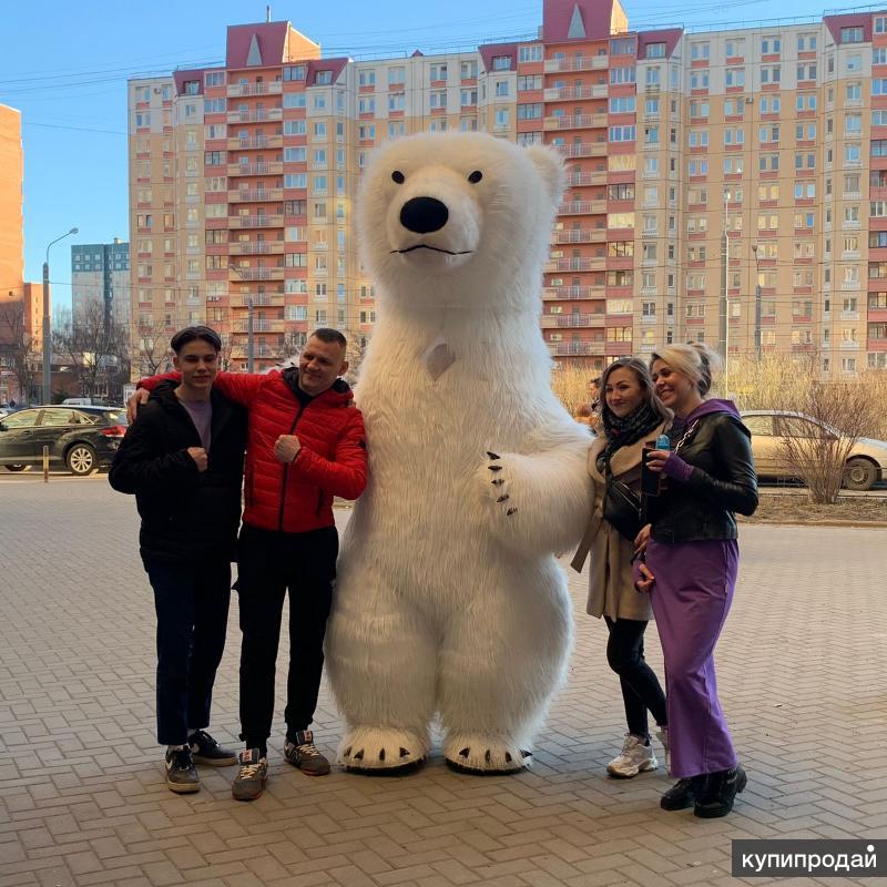 Купить Большого Медведя Спб
