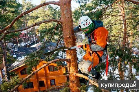 Корчевка пней домкратом