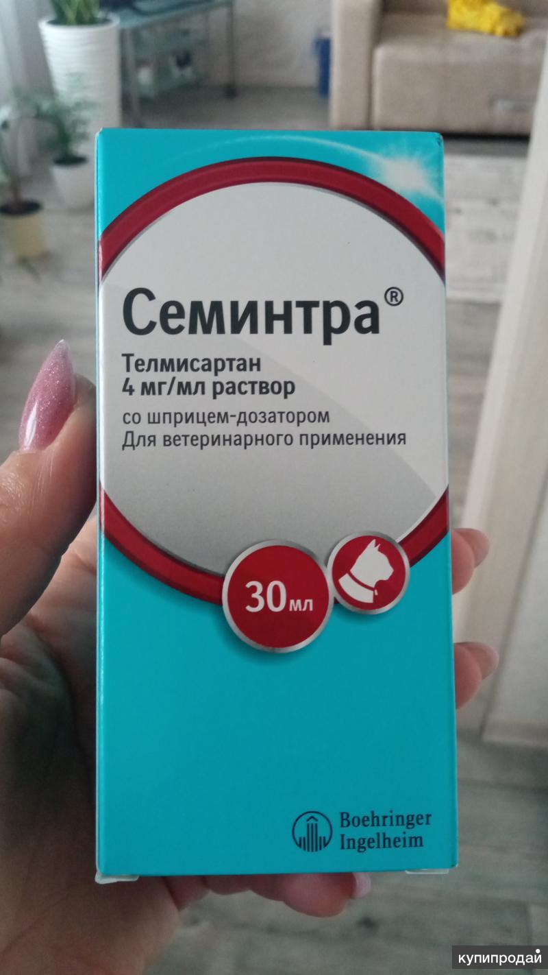 Семинтра купить для кошек