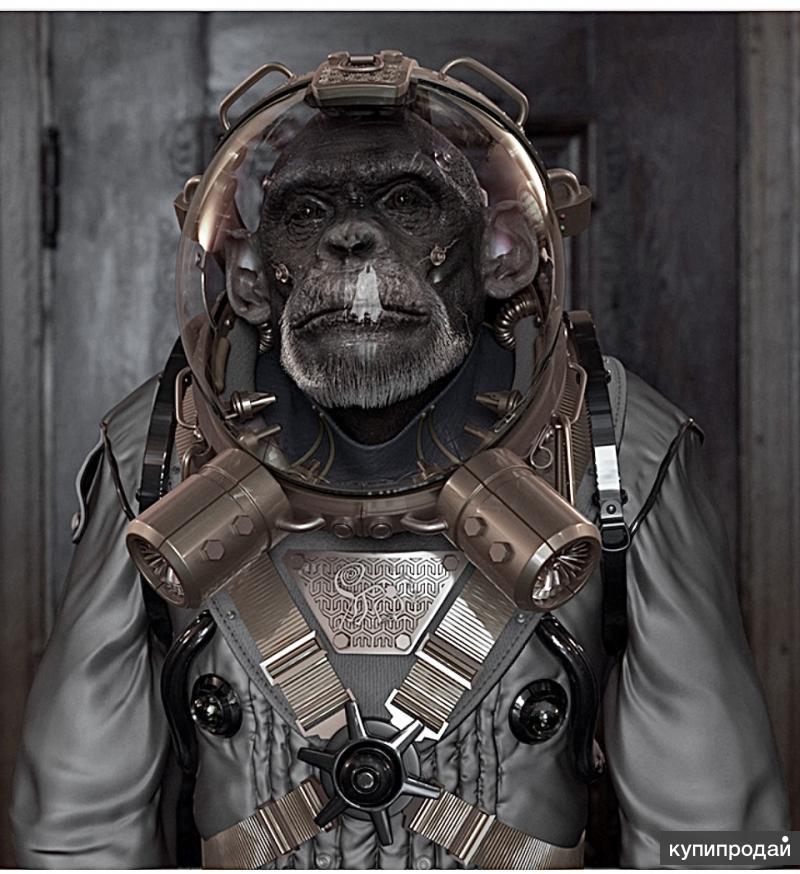 Космические обезьяны. Космическая обезьяна. Обезьяна космонавт. Мартышки в космосе Space Chimps.
