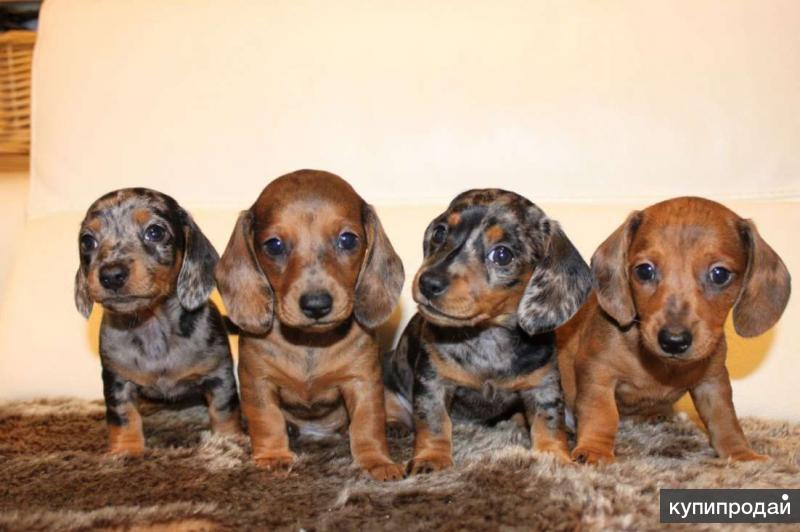 Важность установления и поддержания режима