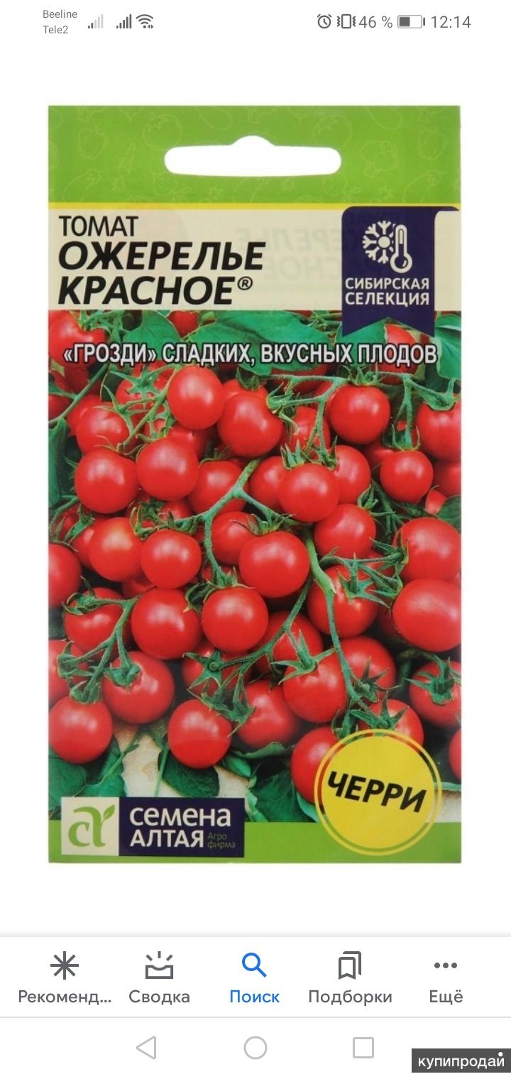 Свит черри смесь семена алтая. Семена алтая томаты черри. Томат карамелька семена алтая. Томат монеточка семена. Семена алтая томаты черри.