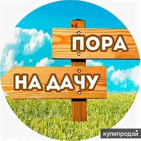 Пятница все на дачу картинки