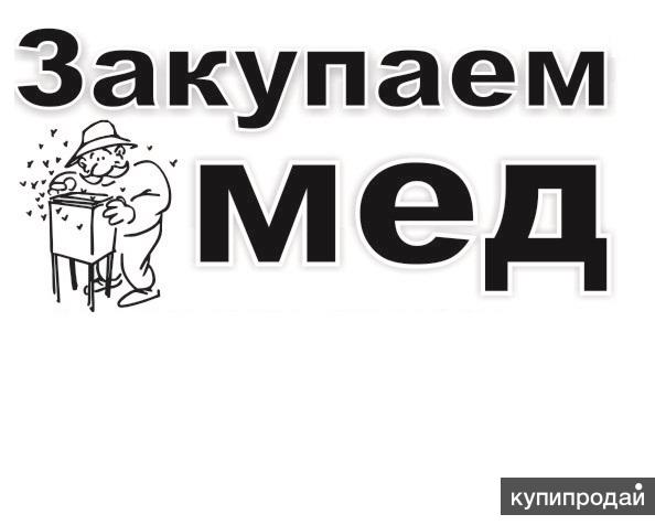 Закупаем мед в любых объемах на постоянной основе г. Воронеж! в Воронеже