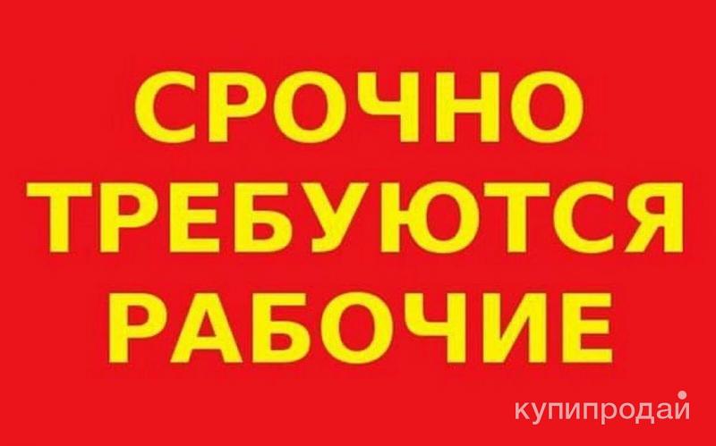 Требуется сотрудник на производство. Требуются рабочие. Срочно требуется рабочий. Требуются разнорабочие. Требуется разнорабочий.