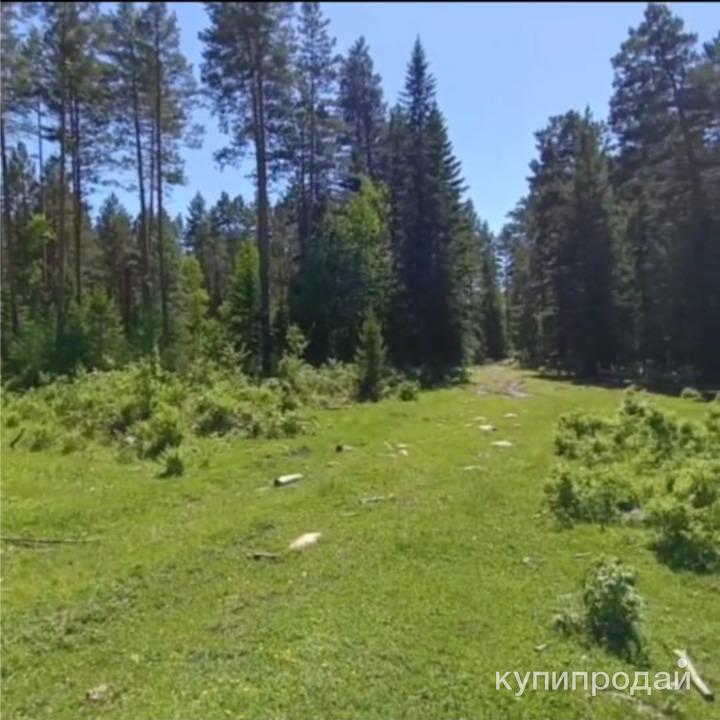 Купить Участок Ижс Горный Щит