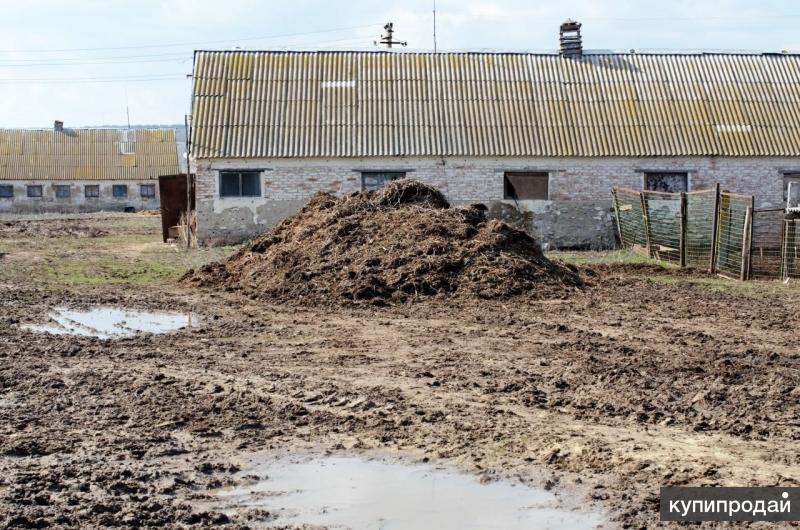 Здания Бывшего Сельсовета Село Долганка Фото